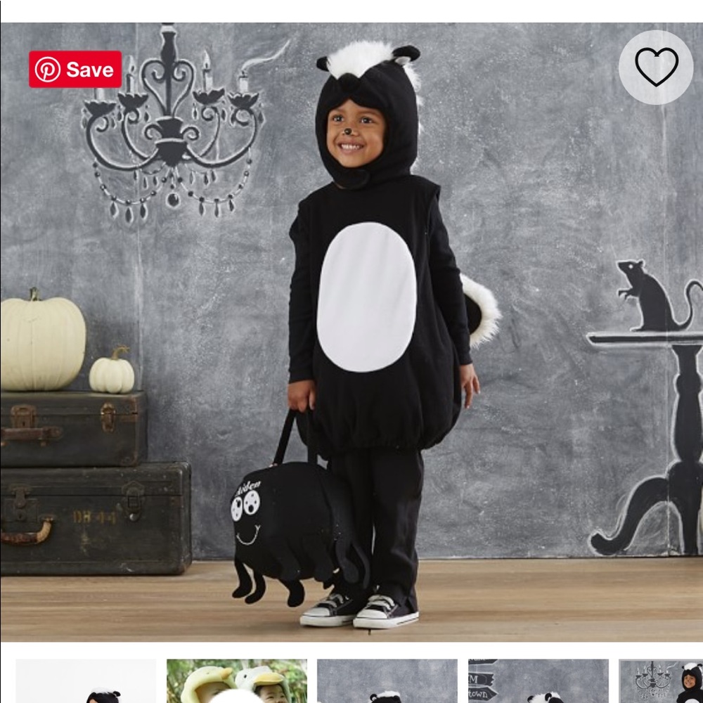 Skunk Toddler Costume - NWT - never worn